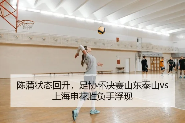 陈蒲状态回升，足协杯决赛山东泰山vs上海申花胜负手浮现